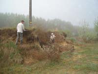 mme k�ka gyurgyalagtelep